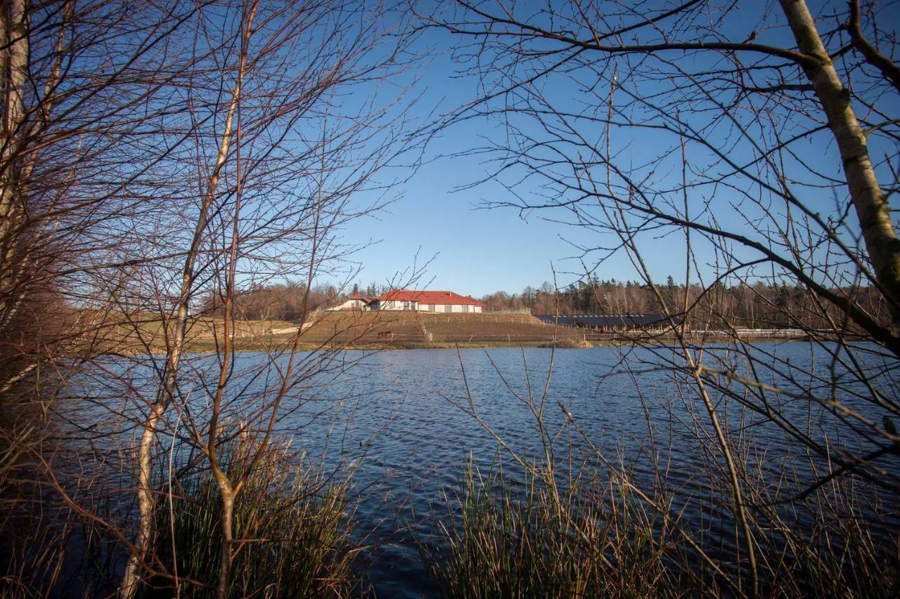 Apartment Agroborcz *
